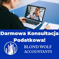 Blond Wolf Accountants image 2